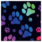 Corduras Estampadas - 670